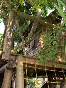 una casa en un árbol con balcón en un árbol en Beach House Floripa, en Florianópolis