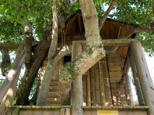 una casa en el árbol en medio de un árbol en Beach House Floripa, en Florianópolis