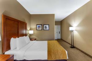 Habitación de hotel con 1 cama grande y 2 lámparas en Comfort Inn Gurnee near Six Flags en Gurnee