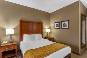 Habitación de hotel con 1 cama grande y 2 lámparas en Comfort Inn Gurnee near Six Flags, en Gurnee