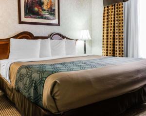 Econo Lodge & Suites tesisinde bir odada yatak veya yataklar