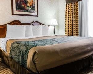 Postel nebo postele na pokoji v ubytování Econo Lodge & Suites