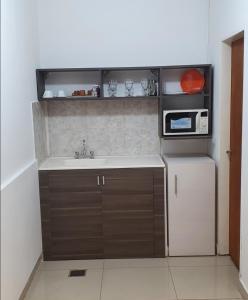 a kitchen with a sink and a microwave at Del Pilar II in La Rioja