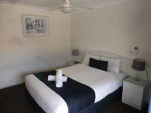 a hotel room with a bed and a lamp at Aspley Carsel Motor Inn in Brisbane