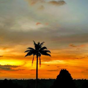 a palm tree in front of a sunset at Casa Pachamama in Salento