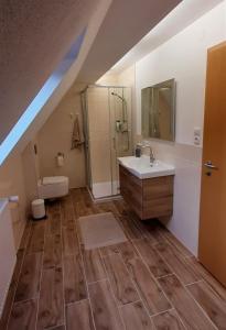 a bathroom with a sink and a shower and a toilet at Ferienwohnung Buchtal in Albstadt