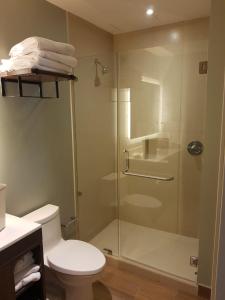 uma casa de banho com um WC e uma cabina de duche em vidro. em Staybridge Suites - Guadalajara Novena, an IHG Hotel em Guadalajara