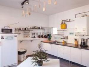 a kitchen with white cabinets and a plant in the middle at Barbieri Sol Hostel in Madrid