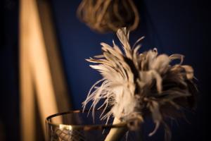 Fotografie z fotogalerie ubytování Suite 50 Nuances avec Balnéothérapie pour 2 v Caen