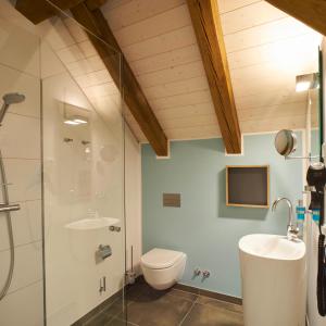 a bathroom with a shower and a toilet and a sink at meinwolfsburg hotel auf dem rittergut vormals Yard Boarding Hotel in Wolfsburg