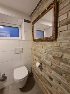 a bathroom with a toilet and a mirror at wohnung-nummer-1 in Pielenhofen