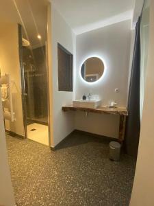 W łazience znajduje się umywalka, lustro i prysznic. w obiekcie L’Estive d’Aubrac w mieście Aubrac