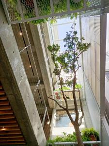 una escalera con un árbol en un edificio en 墾丁 住在Zhuzai en Checheng