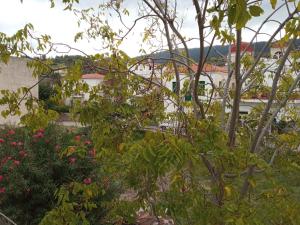 uma vista para um jardim com uma árvore e flores em Bissias Guest House em Galatas