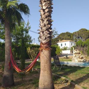 VILLA VENUS, Denia, Spain - Booking.com