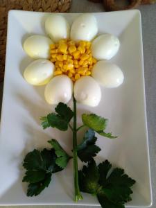 a plate with a flower with eggs and leaves at B&B Alfio Tomaselli in Nicolosi