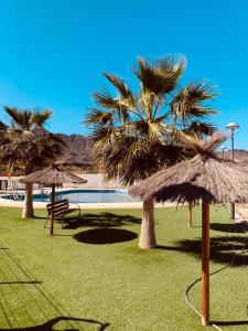 dos palmeras con sombrillas junto a una piscina en S&H La Malcriada, en San Juan de los Terreros
