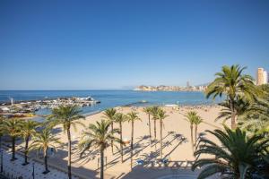 uma vista para uma praia com palmeiras e para o oceano em Hotel Colón em Benidorm