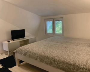 1 dormitorio con 1 cama, TV y ventana en Uni Kop, en Brzeće