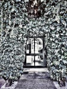 韋爾巴尼亞的住宿－Hotel Casa Camilla，一座有植物覆盖的墙的建筑