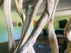 un montón de ramas de árboles en una habitación en Hospedería de Juan, en Fuentidueña de Tajo