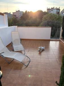 フィゲラスにあるEn el centro de Figueres 4 habitaciones 3 baños y 2 terrazas enormesのパティオ(椅子2脚付)で寝ている犬