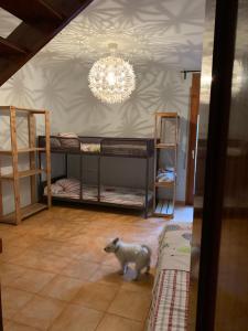 Posteľ alebo postele v izbe v ubytovaní Preciosa vivienda enorme y totalmente equipada en el centro de Figueres