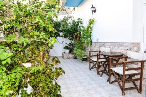 Zahrada ubytování Hotel Karpathos