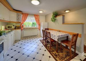 Kuchyňa alebo kuchynka v ubytovaní ApartamentVanessa