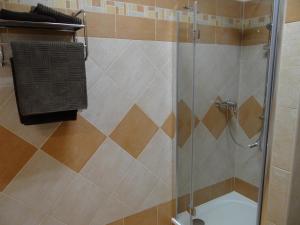 a shower with a glass door in a bathroom at Penzion 324 in Štoky
