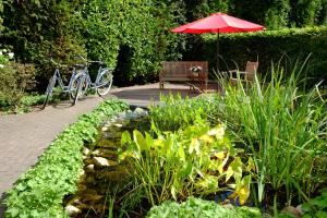 a bench and an umbrella in a garden with a pond at Hotel An der Gruga in Essen