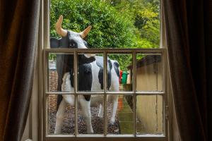 Imagen de la galería de The Northumberland Arms, en West Thirston