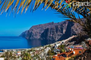 a view of the amalfi coast from a palm tree at 7Lizards - Ocean View Apartments in Puerto de Santiago