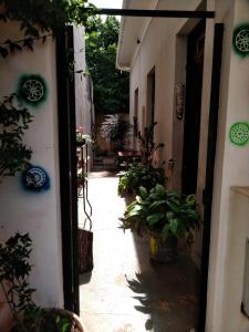 an open door to a courtyard with potted plants at ACOMODAÇÃO Café com Arte in Botucatu