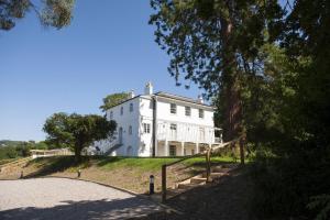 a large white house on a hill with trees at The Garden Flat in Charmouth