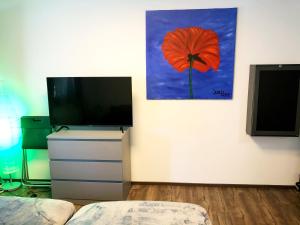 TV a/nebo společenská místnost v ubytování Lisas Gästehaus