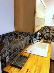 eine Küche mit einem Waschbecken und einem weißen Waschbecken in der Unterkunft Lisas Gästehaus in Neckartenzlingen