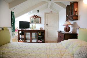 TV a/nebo společenská místnost v ubytování cozy attic