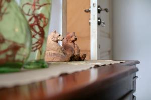 Domácí mazlíčci ubytovaní s hosty v ubytování cozy attic