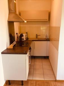 uma pequena cozinha com armários brancos e um lavatório em Cosy Studio Balcon Tennis Swiminng Pool em Cavaillon