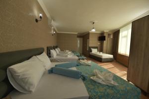 イスタンブールにあるOmega Luxx Hotelのベッド2台とソファが備わるホテルルームです。
