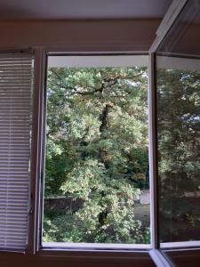 a window with a view of a tree at Wool INN Studio in the Forest in Noisy-sur-École