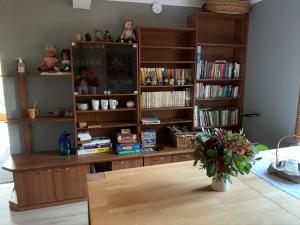 Zimmer mit Bücherregal und Büchern in der Unterkunft Hostel Kastaņas in Lielvārde