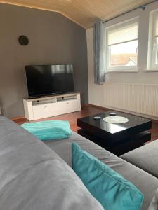 sala de estar con sofá y TV de pantalla plana en Ferienwohnung am Rothenberg, en Altenau