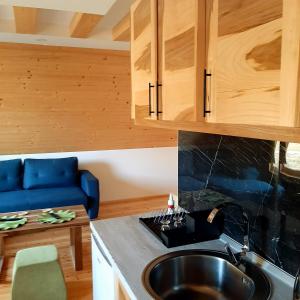 Cuina o zona de cuina de Holiday Home Ella Mokra Gora - Apartman Ella