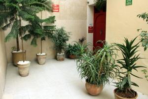 Fotografie z fotogalerie ubytování Riad Meftaha v destinaci Rabat
