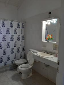 a bathroom with a toilet and a sink and a mirror at Complejo Marce in Ostende +40 photos
