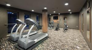 a gym with treadmills and elliptical machines at Holiday Inn Krakow City Centre by IHG in Krakow