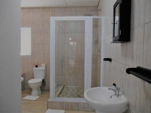 a bathroom with a shower with a sink and a toilet at Oakwood Lodge in Bloemfontein +30 photos