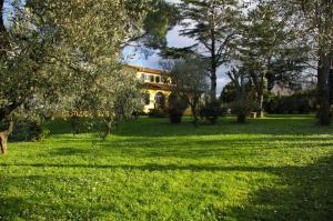 una casa en medio de un campo de hierba en Tenuta Poggio alla Farnia en Fauglia